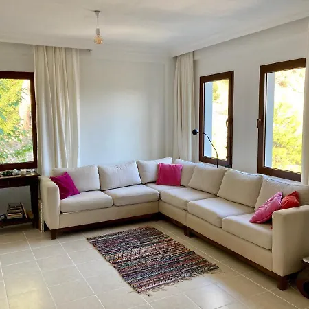Olive Grove Nr 6