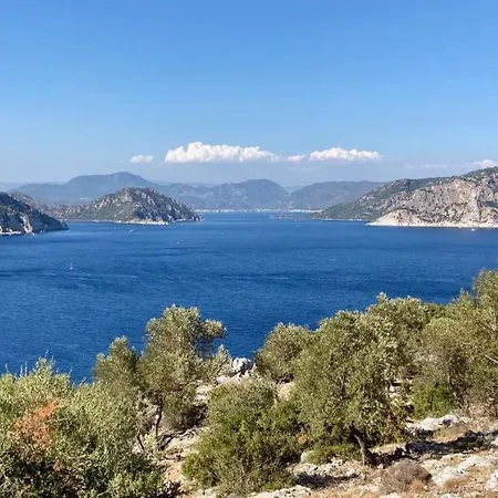 Olive Grove Nr 6 Σπίτι διακοπών Turunc