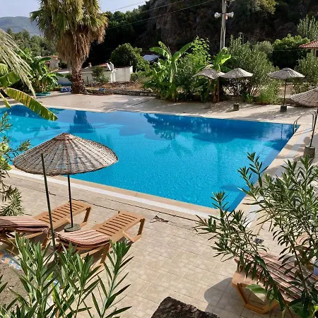 Olive Grove Nr 6 Σπίτι διακοπών
